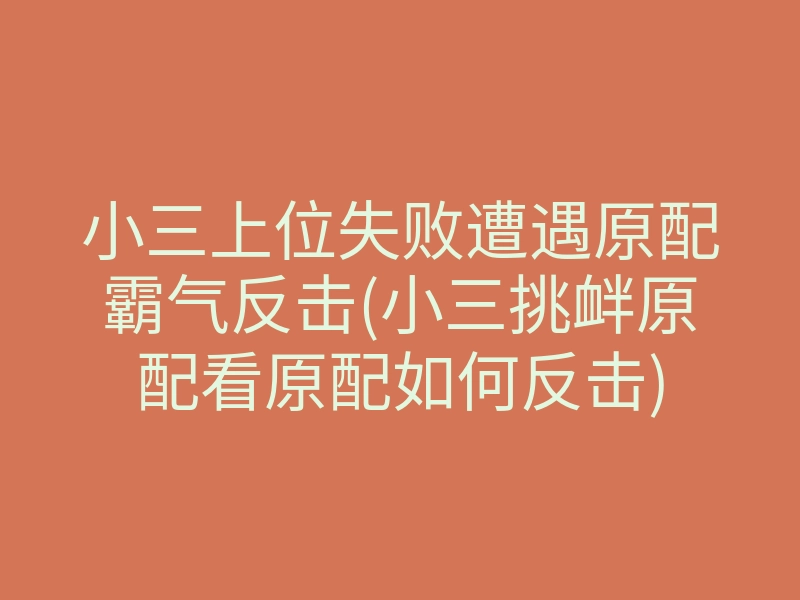 小三上位失败遭遇原配霸气反击(小三挑衅原配看原配如何反击)