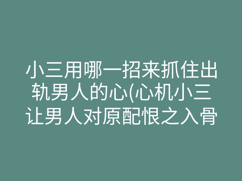 小三用哪一招来抓住出轨男人的心(心机小三让男人对原配恨之入骨)