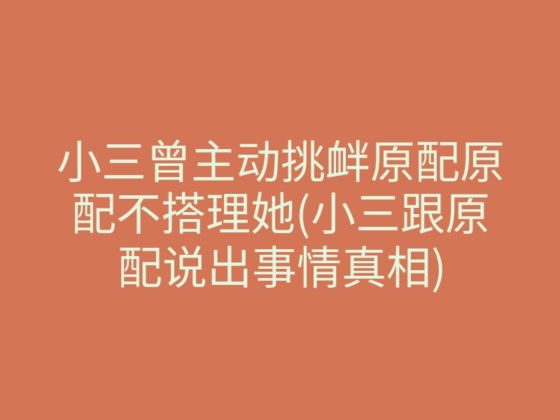 小三曾主动挑衅原配原配不搭理她(小三跟原配说出事情真相)