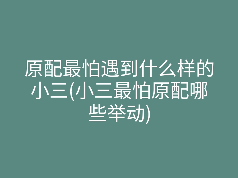 原配最怕遇到什么样的小三(小三最怕原配哪些举动)