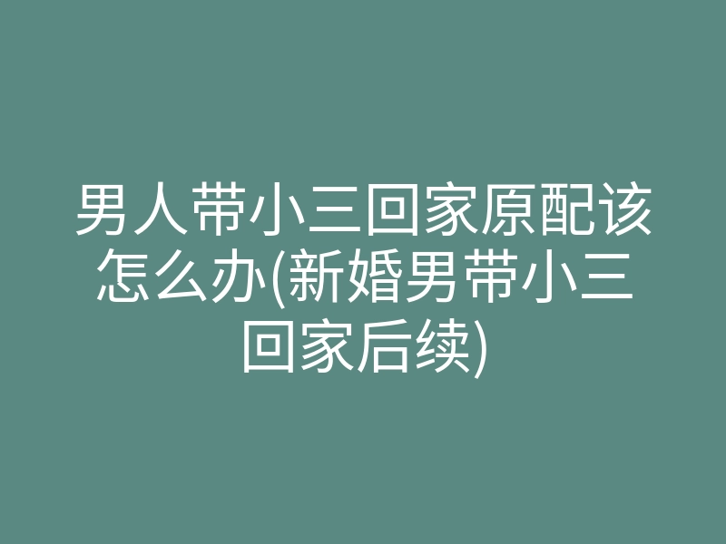 男人带小三回家原配该怎么办(新婚男带小三回家后续)