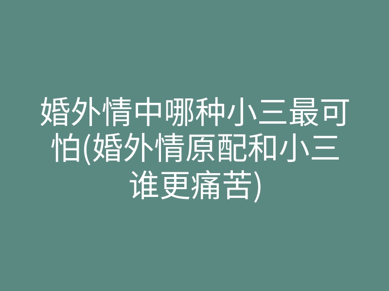 婚外情中哪种小三最可怕(婚外情原配和小三谁更痛苦)