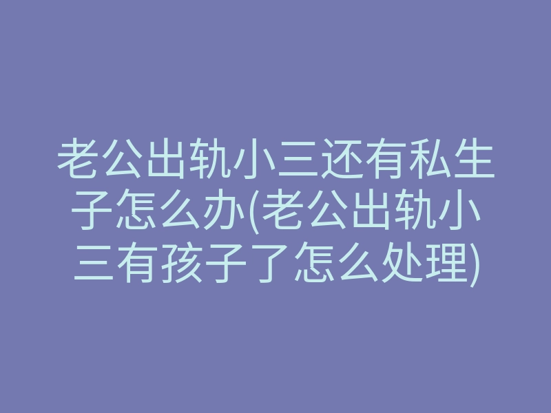 老公出轨小三还有私生子怎么办(老公出轨小三有孩子了怎么处理)