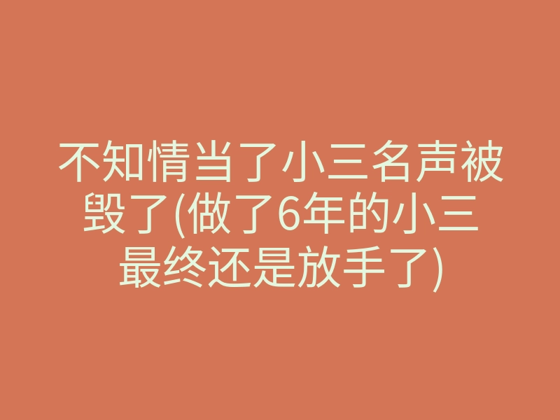 不知情当了小三名声被毁了(做了6年的小三最终还是放手了)
