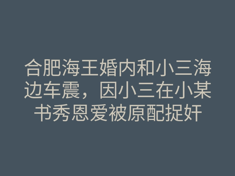 合肥海王婚内和小三海边车震,因小三在小某书秀恩爱被原配捉奸
