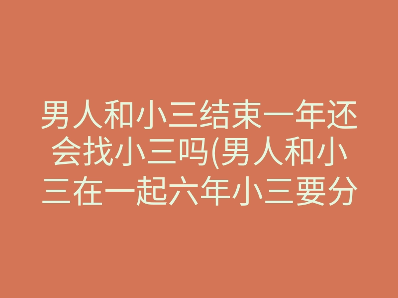 男人和小三结束一年还会找小三吗(男人和小三在一起六年小三要分手)