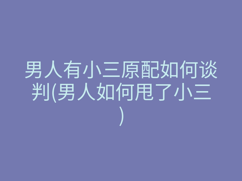 男人有小三原配如何谈判(男人如何甩了小三)