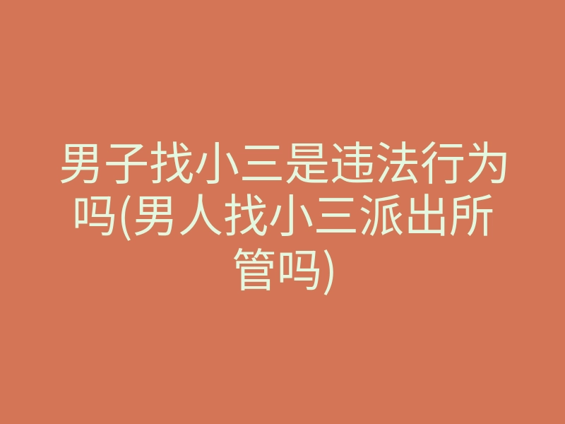 男子找小三是违法行为吗(男人找小三派出所管吗)