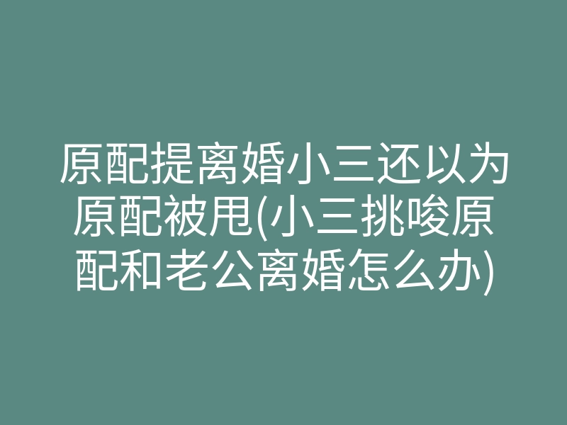 原配提离婚小三还以为原配被甩(小三挑唆原配和老公离婚怎么办)