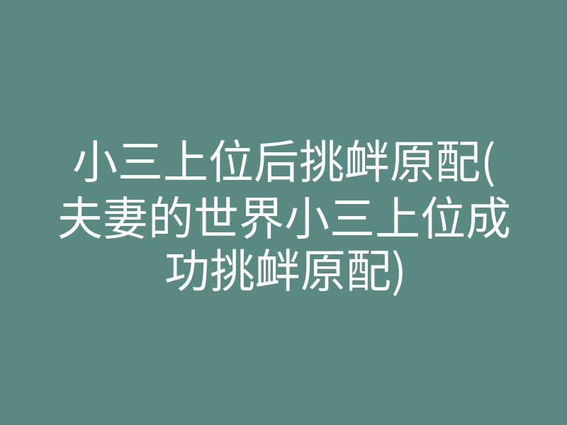 小三上位后挑衅原配(夫妻的世界小三上位成功挑衅原配)