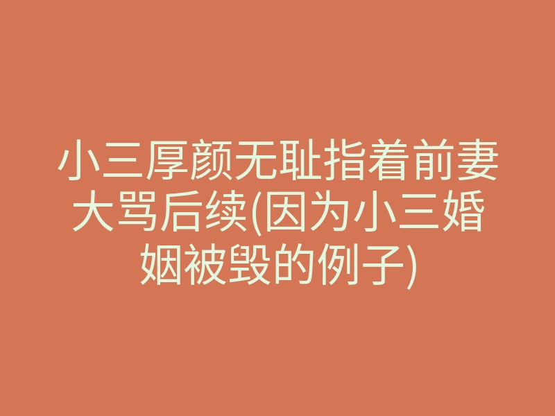 小三厚颜无耻指着前妻大骂后续(因为小三婚姻被毁的例子)
