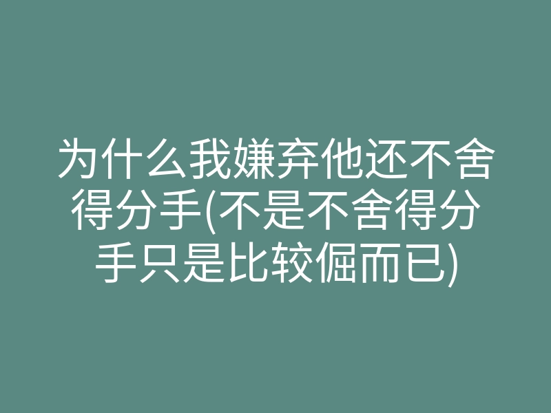 为什么我嫌弃他还不舍得分手(不是不舍得分手只是比较倔而已)