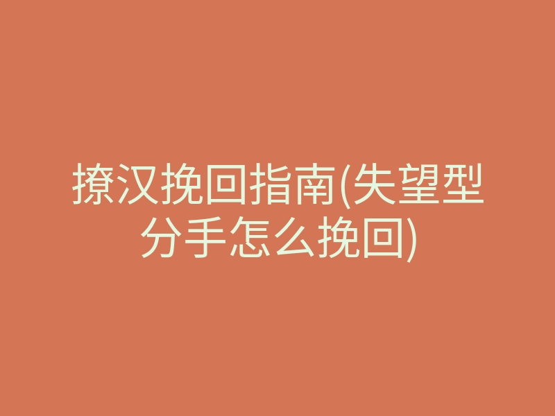 撩汉挽回指南(失望型分手怎么挽回)