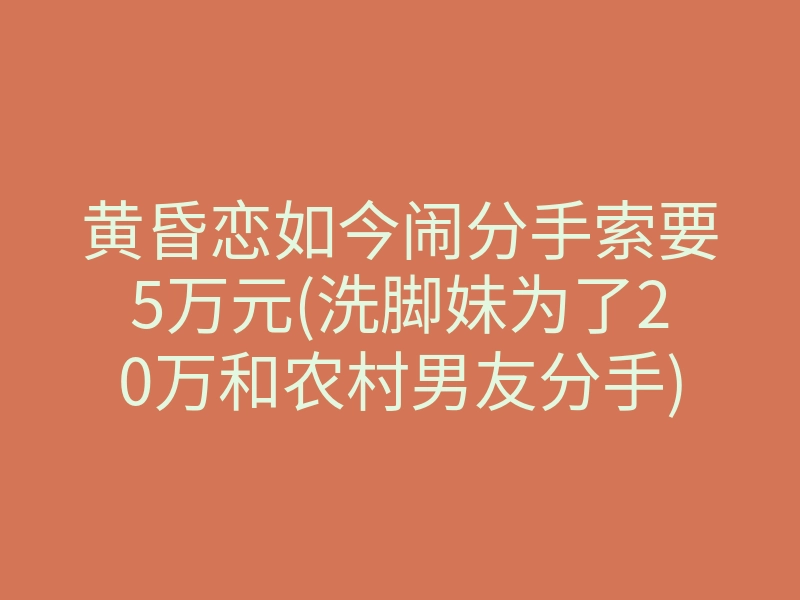 黄昏恋如今闹分手索要5万元(洗脚妹为了20万和农村男友分手)