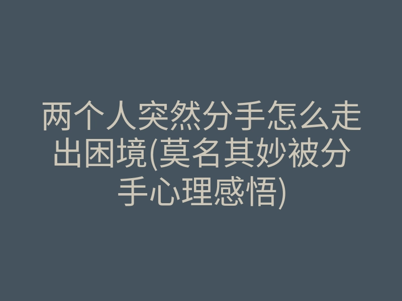 两个人突然分手怎么走出困境(莫名其妙被分手心理感悟)