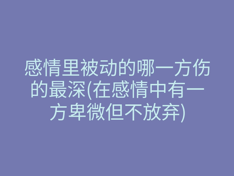 感情里被动的哪一方伤的最深(在感情中有一方卑微但不放弃)