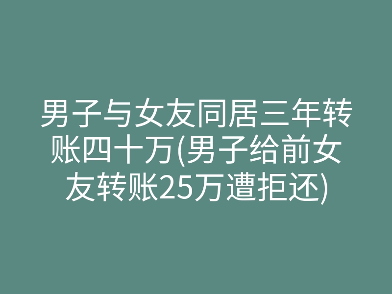 男子与女友同居三年转账四十万(男子给前女友转账25万遭拒还)