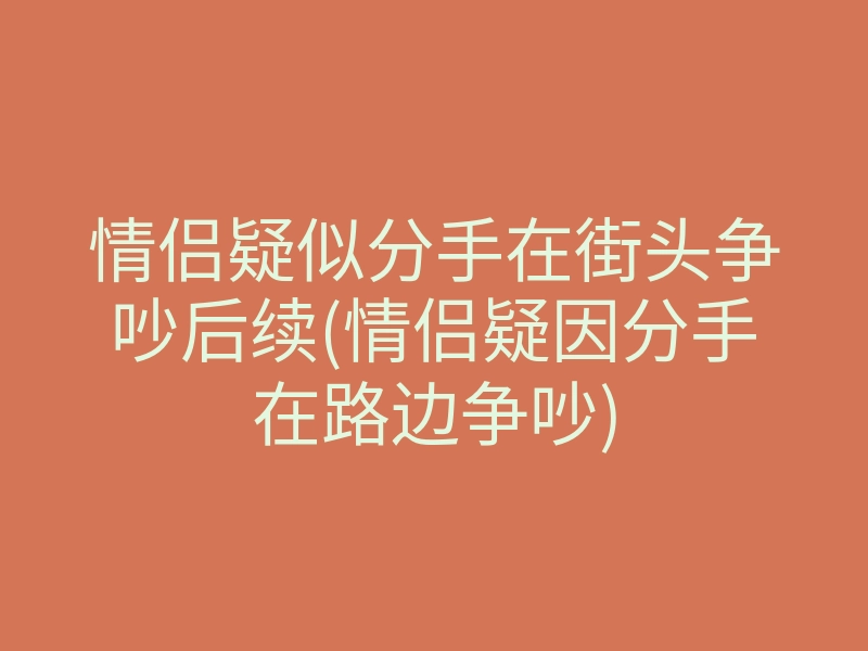 情侣疑似分手在街头争吵后续(情侣疑因分手在路边争吵)