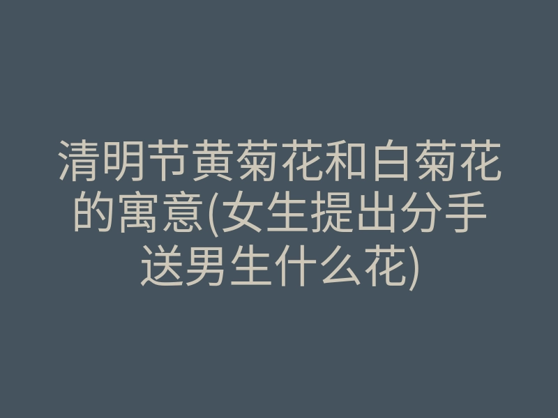 清明节黄菊花和白菊花的寓意(女生提出分手送男生什么花)