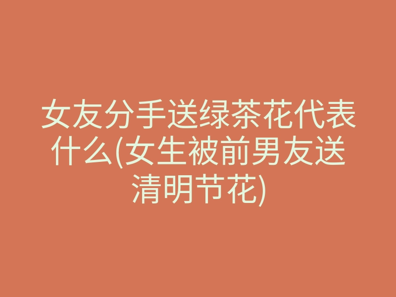 女友分手送绿茶花代表什么(女生被前男友送清明节花)