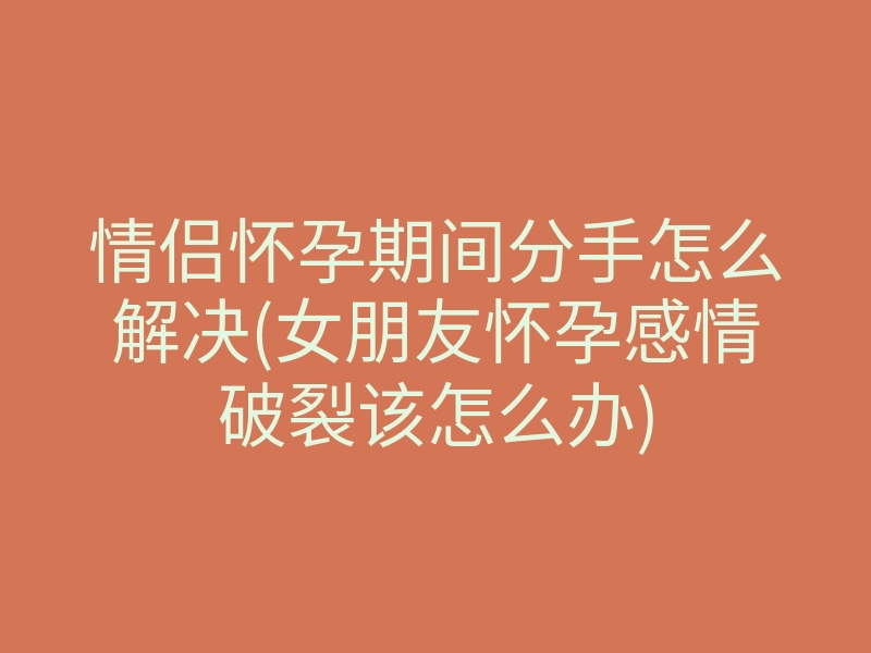 情侣怀孕期间分手怎么解决(女朋友怀孕感情破裂该怎么办)