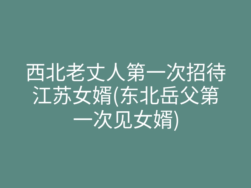 西北老丈人第一次招待江苏女婿(东北岳父第一次见女婿)