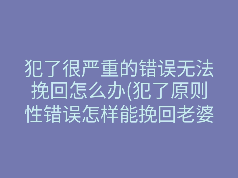 犯了很严重的错误无法挽回怎么办(犯了原则性错误怎样能挽回老婆)