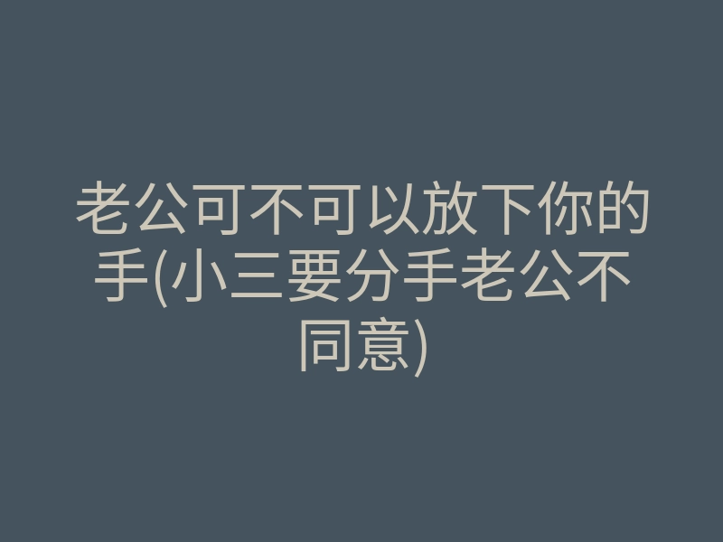 老公可不可以放下你的手(小三要分手老公不同意)