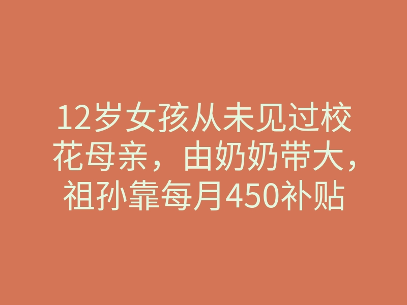 12岁女孩从未见过校花母亲,由奶奶带大,祖孙靠每月450补贴度日