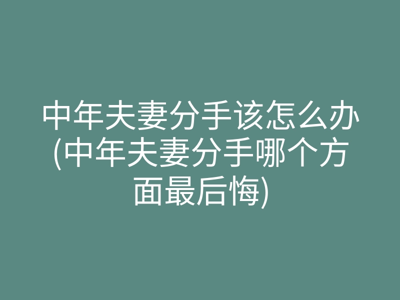 中年夫妻分手该怎么办(中年夫妻分手哪个方面最后悔)