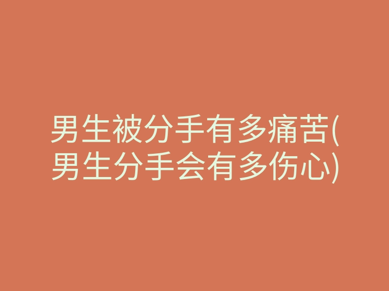 男生被分手有多痛苦(男生分手会有多伤心)