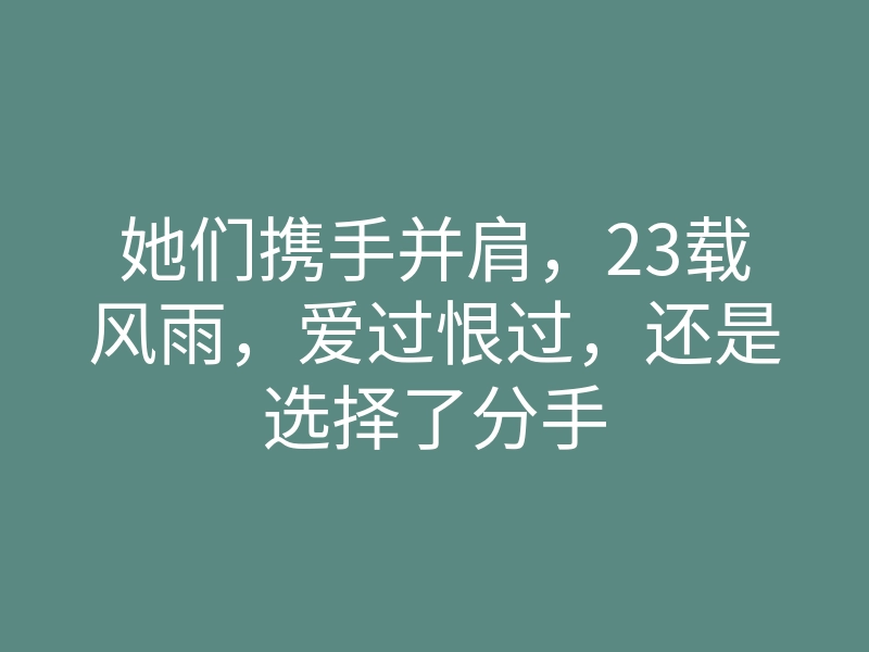 她们携手并肩,23载风雨,爱过恨过,还是选择了分手