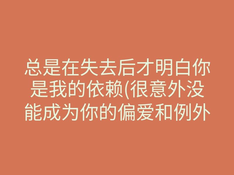 总是在失去后才明白你是我的依赖(很意外没能成为你的偏爱和例外)