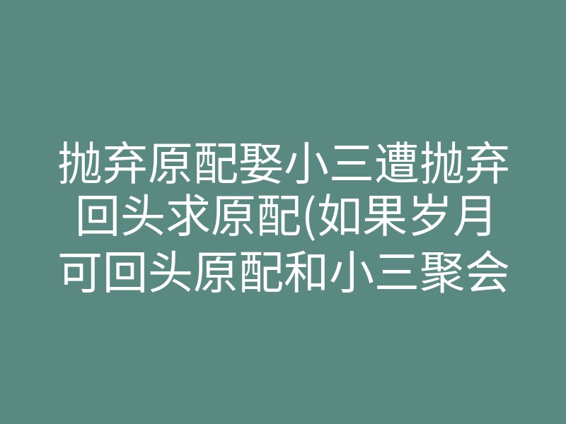 抛弃原配娶小三遭抛弃回头求原配(如果岁月可回头原配和小三聚会)
