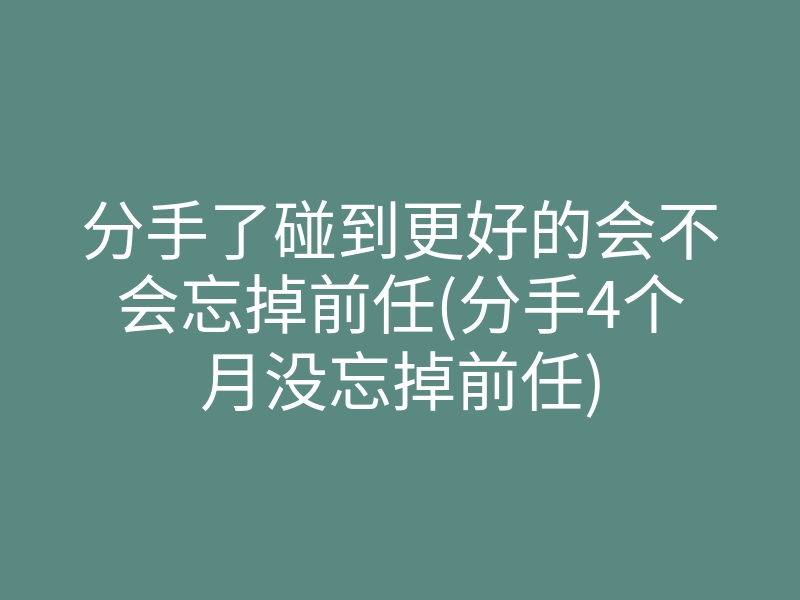 分手了碰到更好的会不会忘掉前任(分手4个月没忘掉前任)