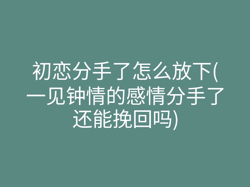 初恋分手了怎么放下(一见钟情的感情分手了还能挽回吗)
