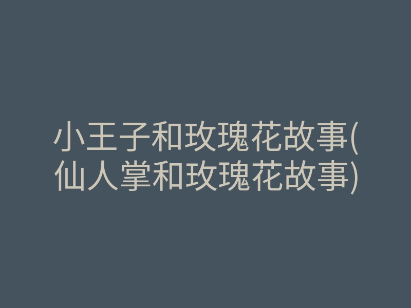 小王子和玫瑰花故事(仙人掌和玫瑰花故事)