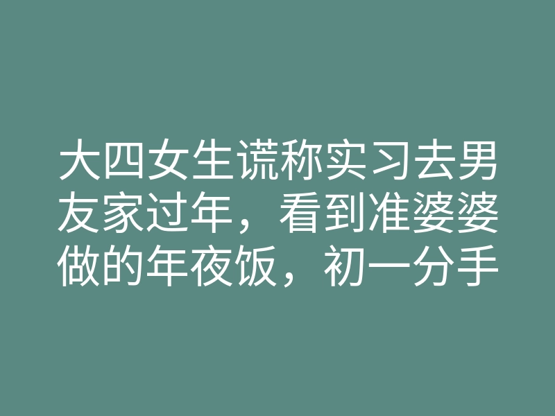 大四女生谎称实习去男友家过年,看到准婆婆做的年夜饭,初一分手