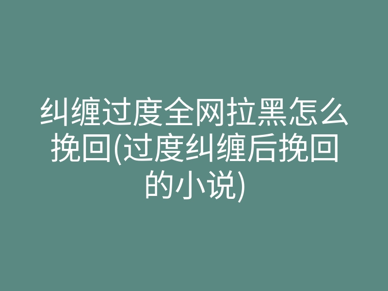 纠缠过度全网拉黑怎么挽回(过度纠缠后挽回的小说)