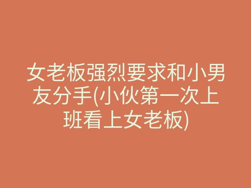 女老板强烈要求和小男友分手(小伙第一次上班看上女老板)