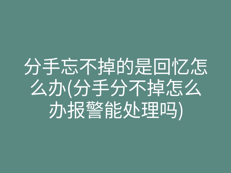 分手忘不掉的是回忆怎么办(分手分不掉怎么办报警能处理吗)