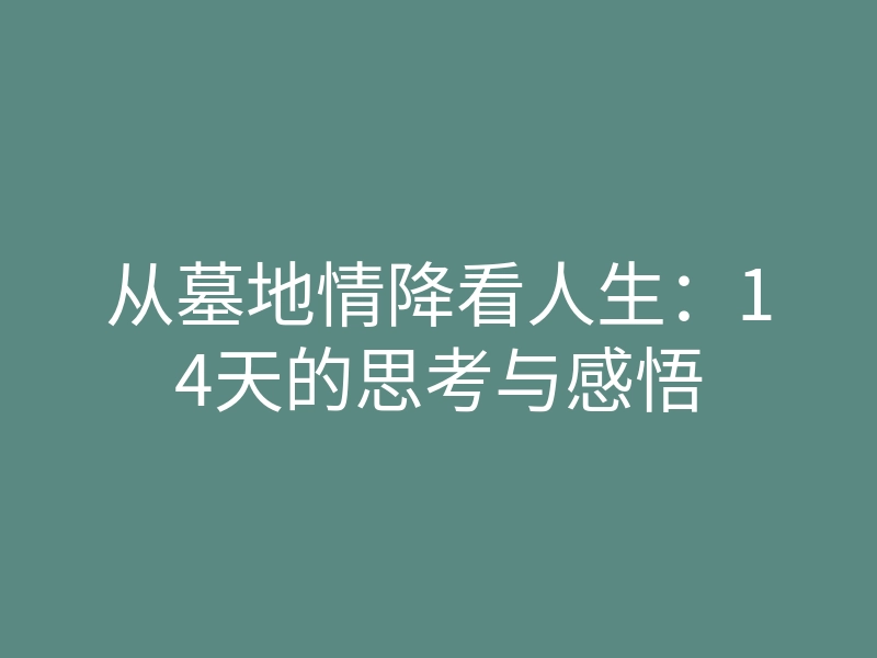 从墓地情降看人生:14天的思考与感悟