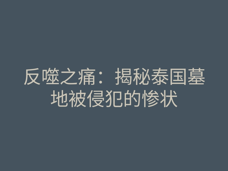 反噬之痛:揭秘泰国墓地被侵犯的惨状