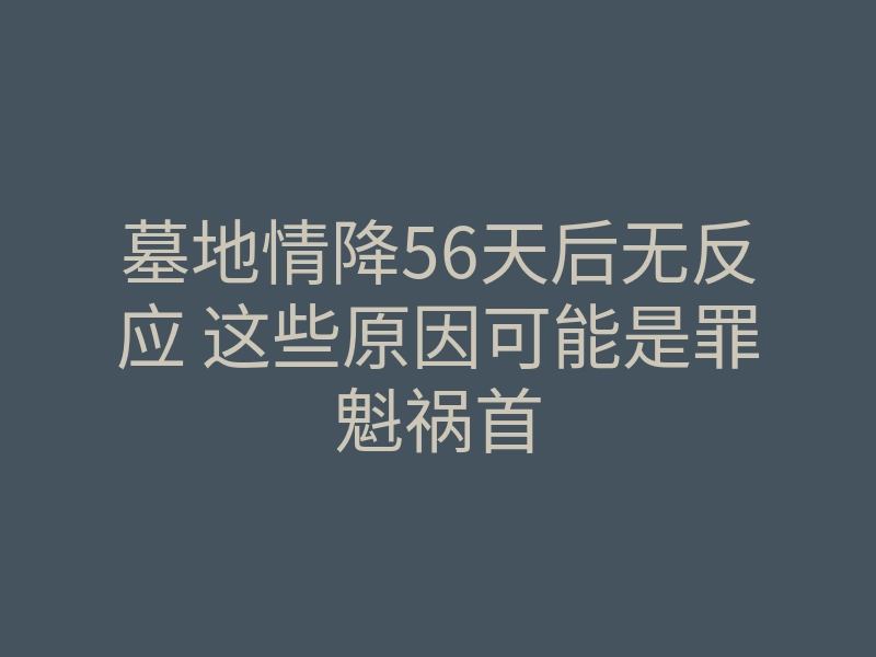 墓地情降56天后无反应 这些原因可能是罪魁祸首