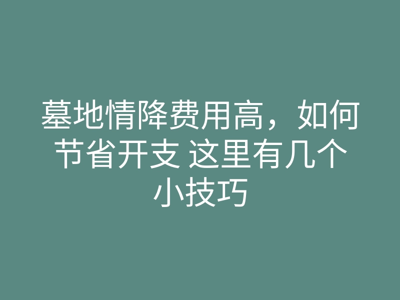 墓地情降费用高,如何节省开支 这里有几个小技巧
