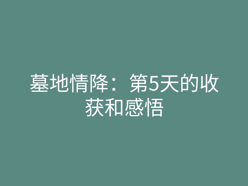 墓地情降:第5天的收获和感悟