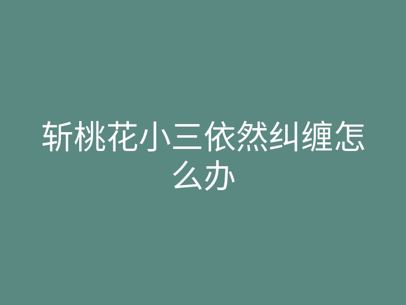 斩桃花小三依然纠缠怎么办