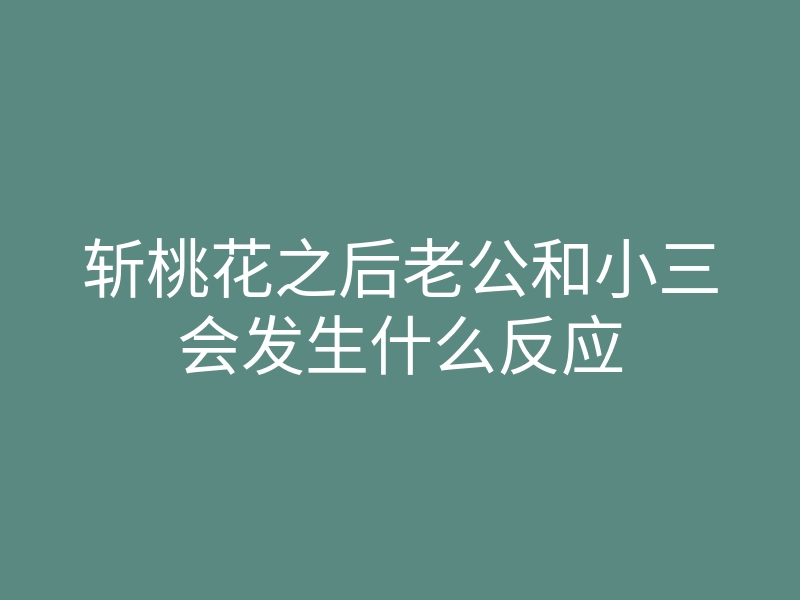 斩桃花之后老公和小三会发生什么反应