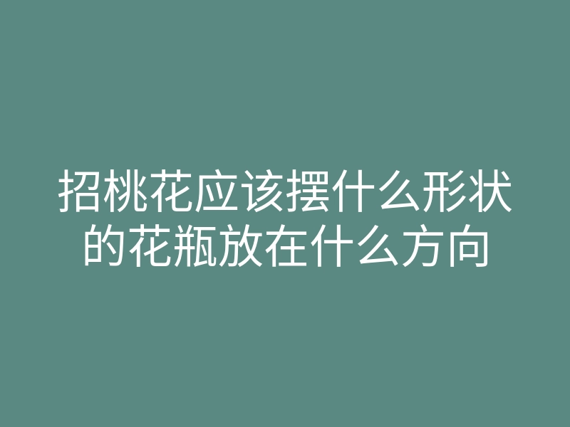 招桃花应该摆什么形状的花瓶放在什么方向