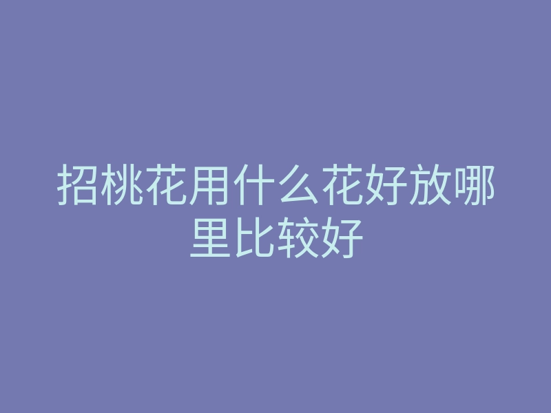 招桃花用什么花好放哪里比较好